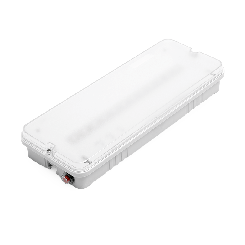 Аварийный светильник WOLTA PRO ОРИЕНТИР Мини ДБО03-3-051-6К с БАП EM3 3Вт 6500К IP65 Матовый