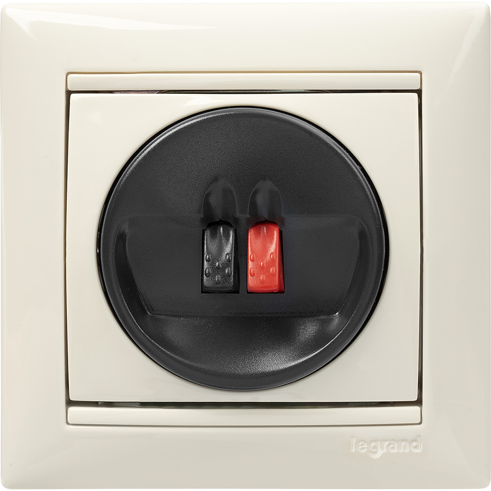 Розетка акустическая одиночная СП Valena механизм сл. кость Leg 774123