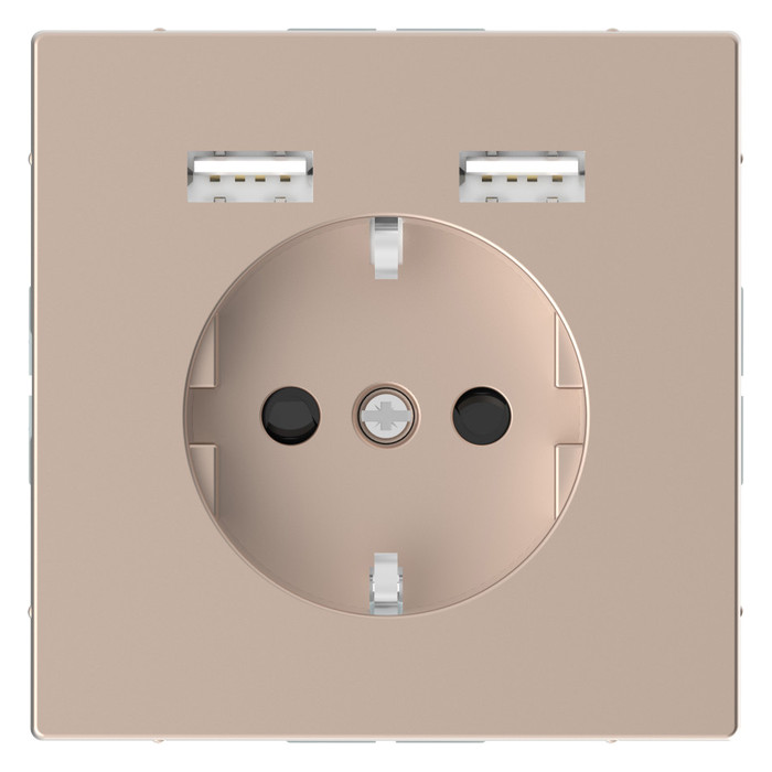 Розетка с 2xUSB Schneider Electric MERTEN D-LIFE, скрытый монтаж, с заземлением, шампань, MTN2366-6051
