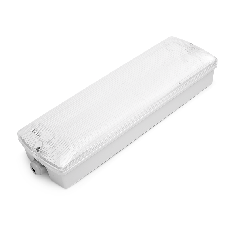 Аварийный светильник WOLTA PRO ОРИЕНТИР ДБО03-4-052-6К с БАП EM3 4.5Вт 6500К IP65 Прозрачный