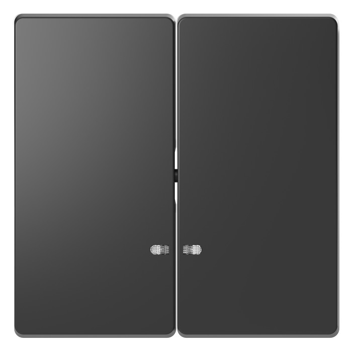 Клавиша двойная с линзами Schneider Electric MERTEN D-LIFE, антрацит, MTN3420-6034